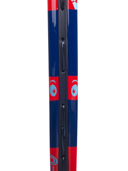 Raqueta Babolat Ball Fighter 19 Junior