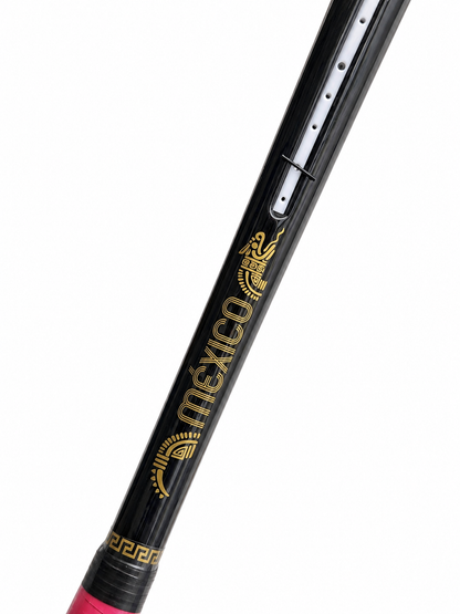 Raqueta Masterpro Mexico 4.0 para Frontenis